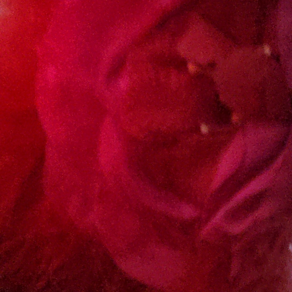 ❤️ White Headband Red Feather Rose Fascinator FREE With Any Bundle - Picture 3 of 12